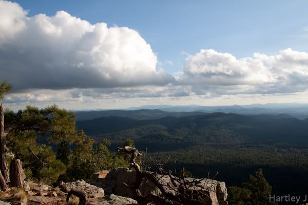 IMAGE: http://i1022.photobucket.com/albums/af341/Hartleyg/Focustest3.jpg