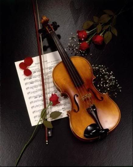 Violin roses photo Random44.jpg