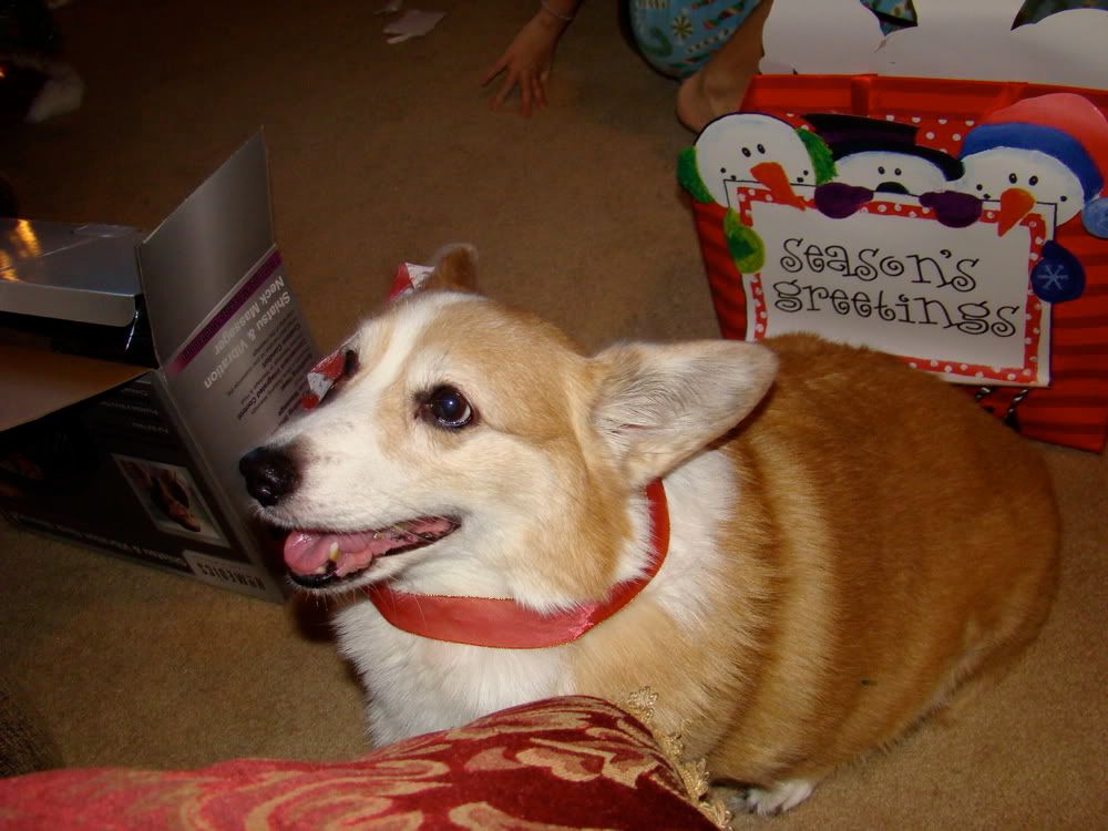 sundog.jpg