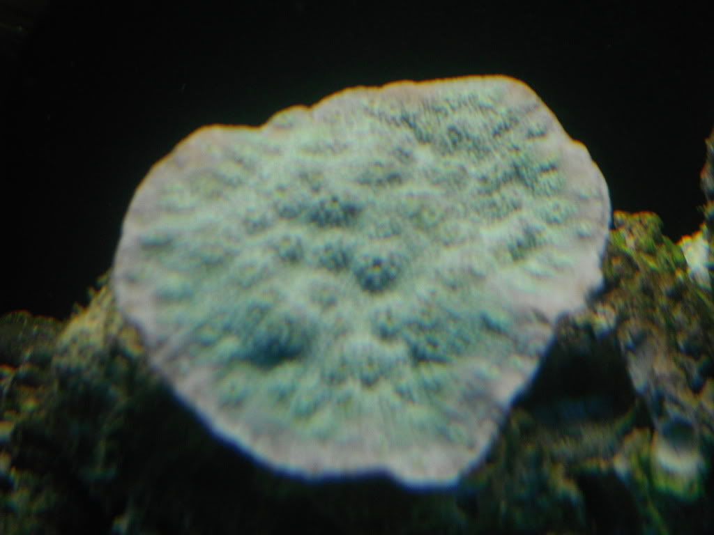 0065.jpg