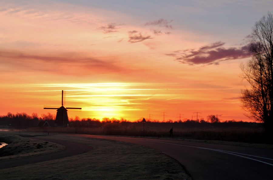 Fotografie