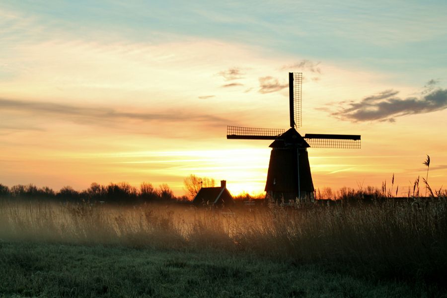Fotografie