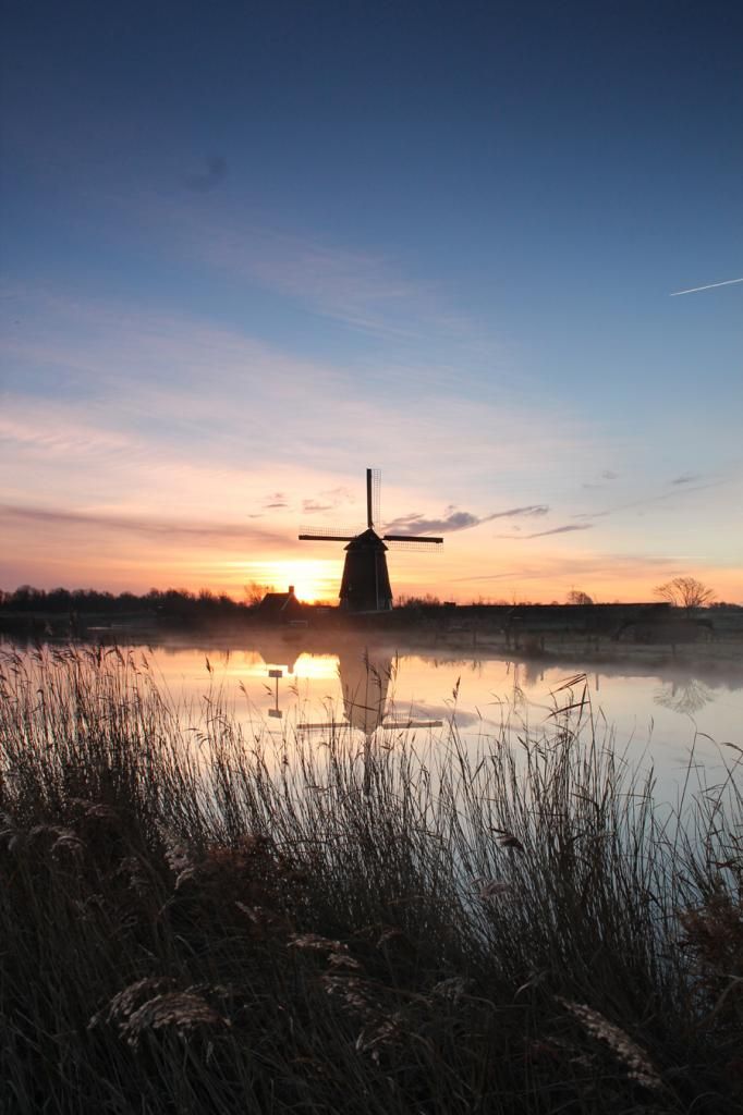 Fotografie