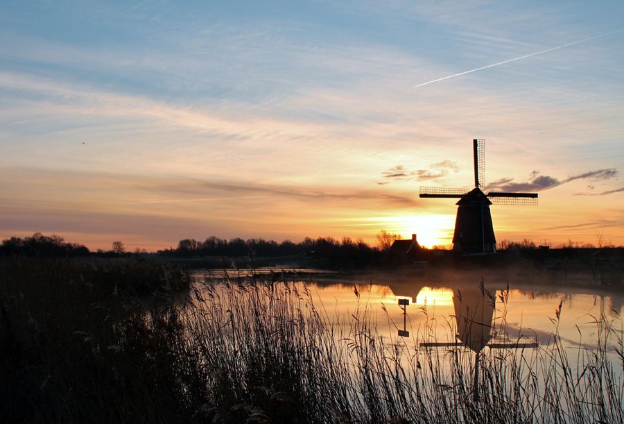 Fotografie
