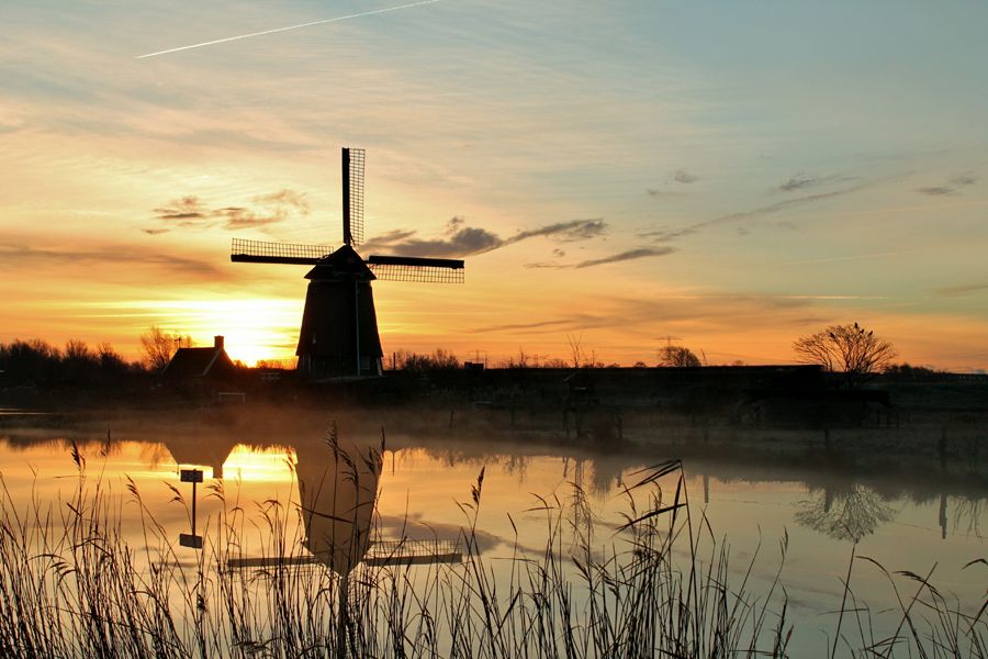 Fotografie