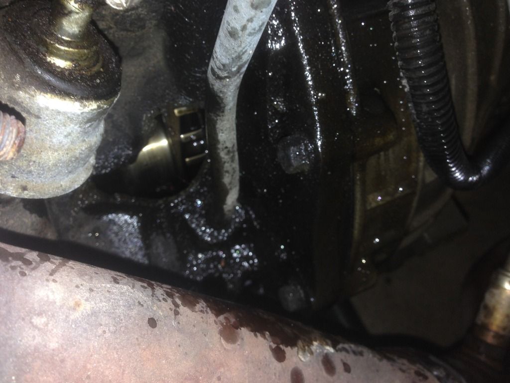 3F693574-197A-4D85-93A0-DC0C1A87EBAA_zps