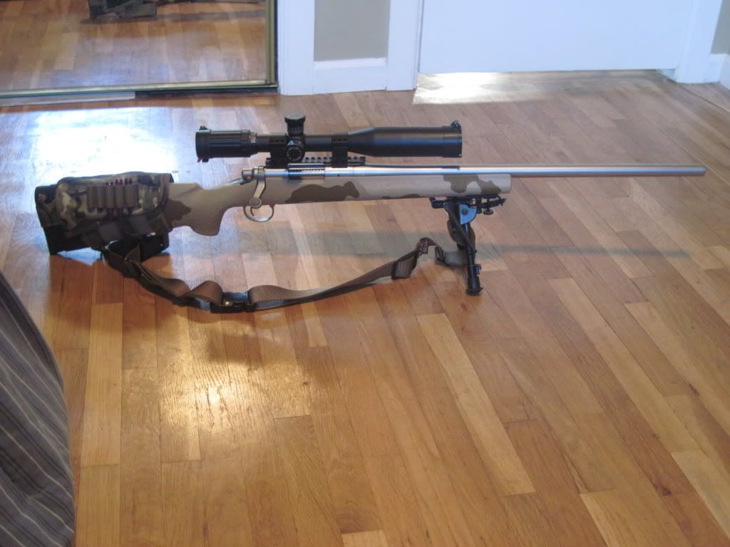 Remmy700Paint12.jpg