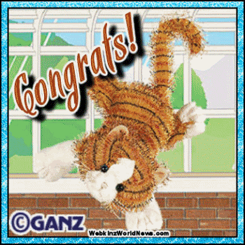 congrats-cat-webkinz.gif