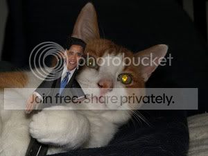 obama_cat3.jpg